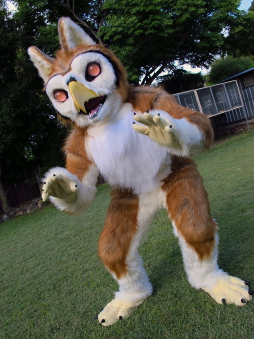 finerfur:  Attack! - by rosequoll  the back pattern is neat