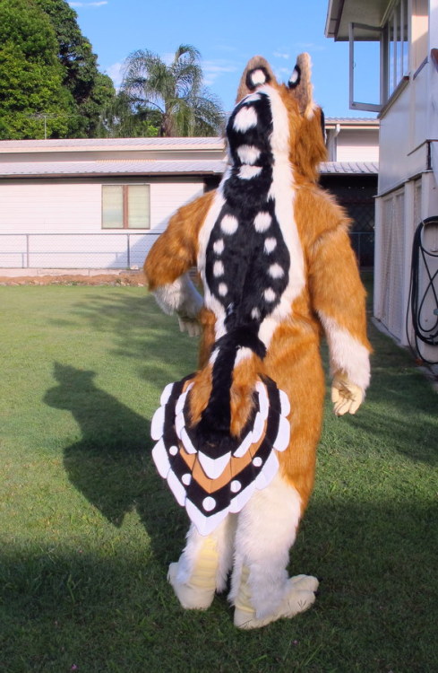finerfur:  Attack! - by rosequoll  the back pattern is neat
