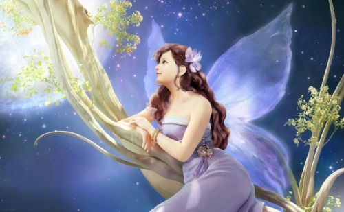 Fantasy fairy art