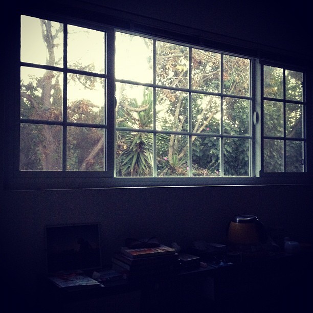 The morning light coming through my window is always so magical