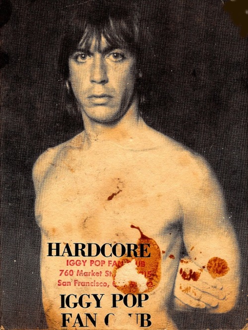 Porn IGGY POP Fan Club photos