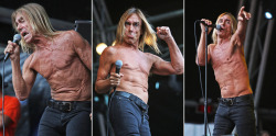 iggypop