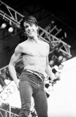 Iggy_Pop_-_pinkpop87