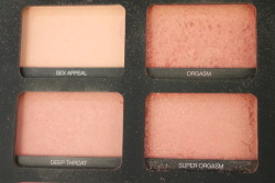 fuckin-nastyxxx:  NARS has the best names for their shades of blush