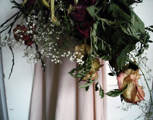 touchmygenitals:  last month’s flowers (by Yuula Benivuula) 