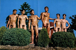 temple-of-apollo:   The beauty of naked men….  