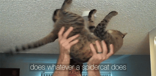 t0xicant:  omg. I CANT  