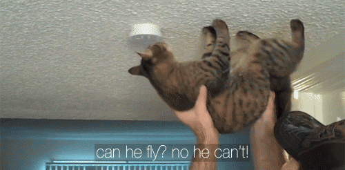 t0xicant:  omg. I CANT  