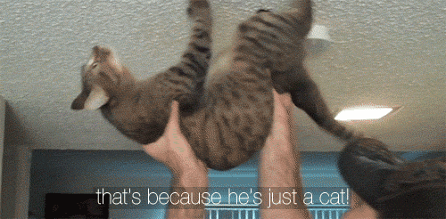 t0xicant:  omg. I CANT  