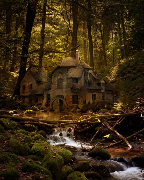 bluepueblo:  Old Mill, Black Forest, Germany photo via wishiwas 