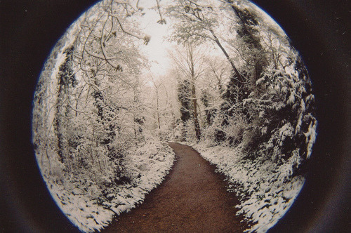 da-storyof-life