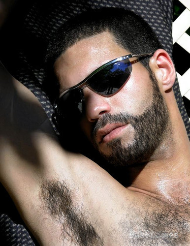 Gaydreams...