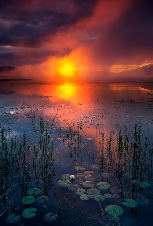 magicalnaturetour: Genesis by Harry Lichtman :) 