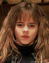 dumbledoreknits:  From the beginning, to the end. 
