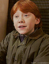 dumbledoreknits:  From the beginning, to the end. 