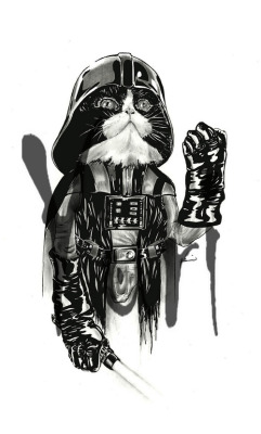 vader cat