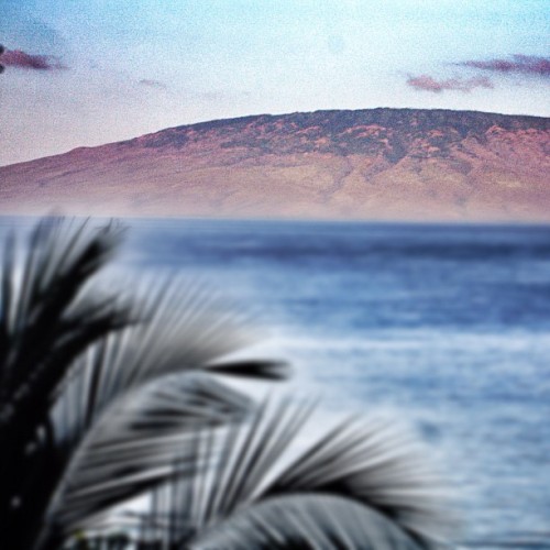 #maui#hawaii#island#rebelaww#rebelallianceworldwide#rawwstar#iphone#iphone4s#iphoneonly#iphoneograph