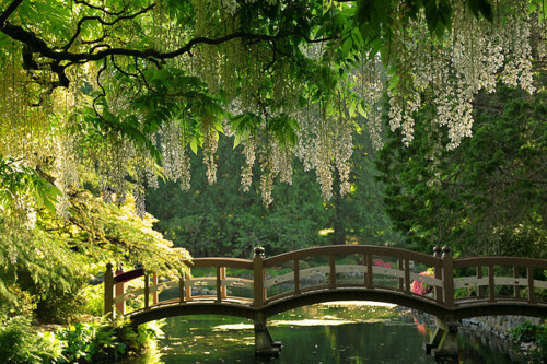 bluepueblo:  Japanese Garden, Victoria Island, Canada photo via pretty 