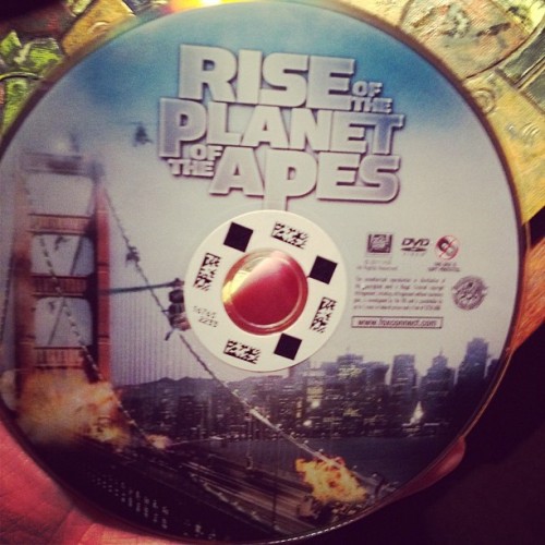 This will occupy the rest of my night (Taken with instagram)
