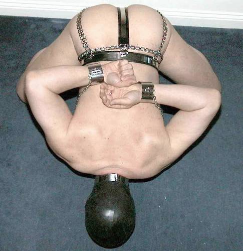the-alley:  Plugged Ass makes dog happy.