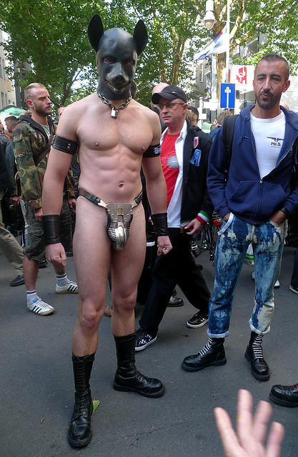 the-alley:  Plugged Ass makes dog happy.