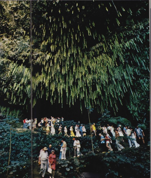 nationalgeographicscans:Hawaii, November 1977