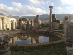 visitheworld:   by isawnyu on Flickr. Volubilis, a Unesco World Heritage Site in Morocco, features the best preserved Roman ruins in this part of northern Africa. 