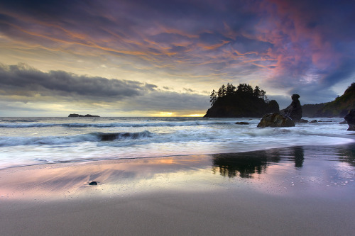 Grandmother of the Ages #1 - Trinidad, Humboldt County, California (via PatrickSmithPhotography)