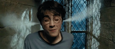 Harry Potter and Percy Jackson
