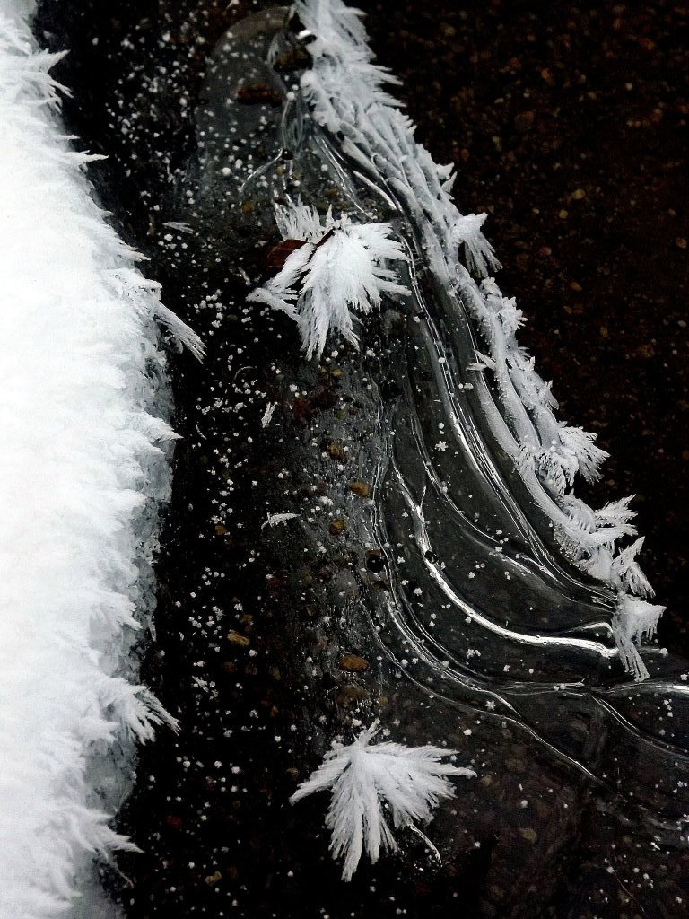 lace of yce By Fănăţan Nicoleta