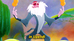 ilu Rafiki