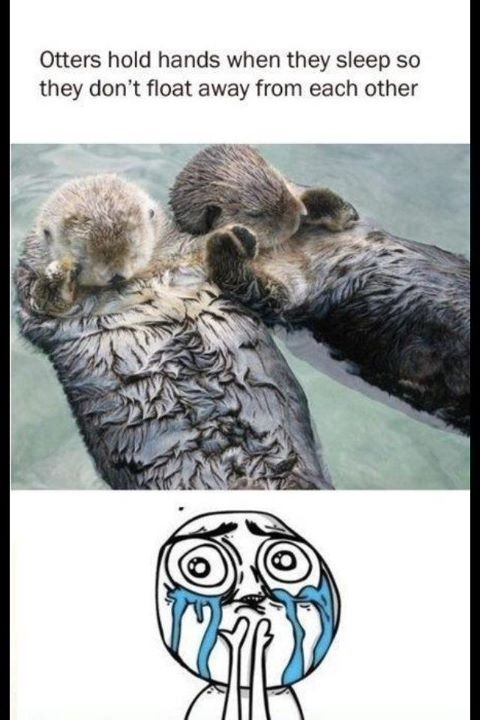 7vanilla7:  How cute is this? 