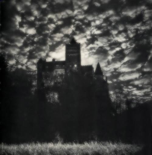 cycomu:  bran castle in the night 