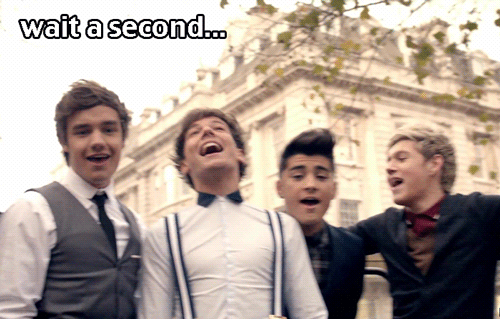 1dlovescats:  OMG  