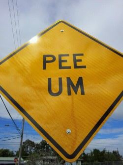 Pee Um XD