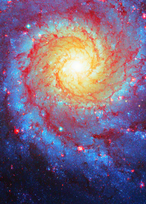 weareallstarstuff:  M74 Galaxy 