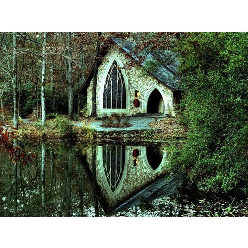warlike:  Harlequin Forest / .   (clipped to polyvore.com)