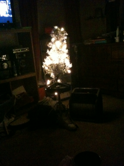 Mine and Lauren’s Christmas tree night