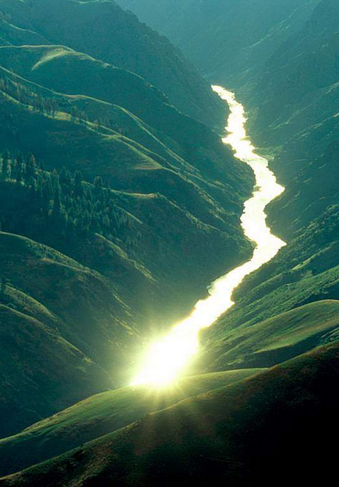 symbolic-spirit:  Follow for spirit☾ + witchcraft☪ + nature☮ 