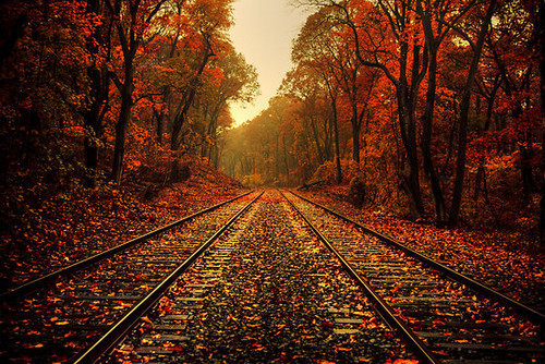 bluepueblo:  Autumn Tracks, Pennsylvania photo via bonsai 