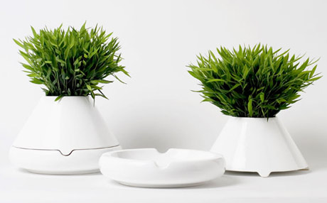 orqanics:  lush x plants 