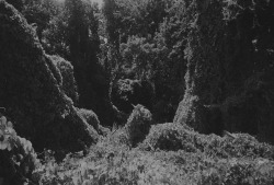 lamkatarina:  source 