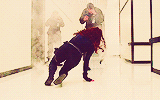 somerdaye:  #fine fresh fierce 