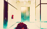 somerdaye:  #fine fresh fierce 
