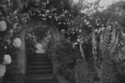 lamkatarina:  source 