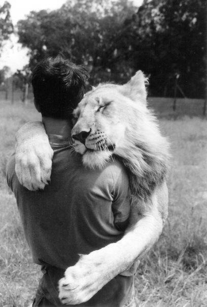 young wild and free