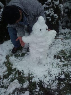 My dad built a snowman version of Majin