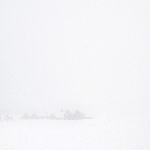  Landscape - Winter - Snow - VS-Villingen (by martin schiele) 