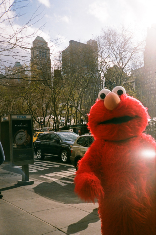 I got more Elmo photos than you can shake a stick at.