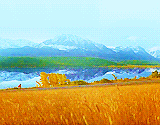  Favorite Movies → Forrest Gump (1994)  Life is like a box of chocolates, you